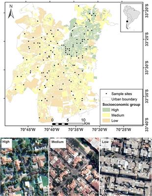 Linking Socioeconomics to Biodiversity in the City: The Case of a Migrant Keystone Bird Species